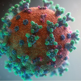 Coronavirus