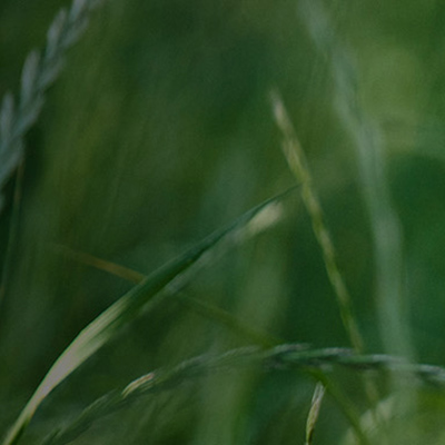 Perspective to Thrive